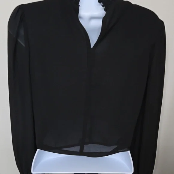 Lucy Paris Sheer Blouse - Picture 6 of 7